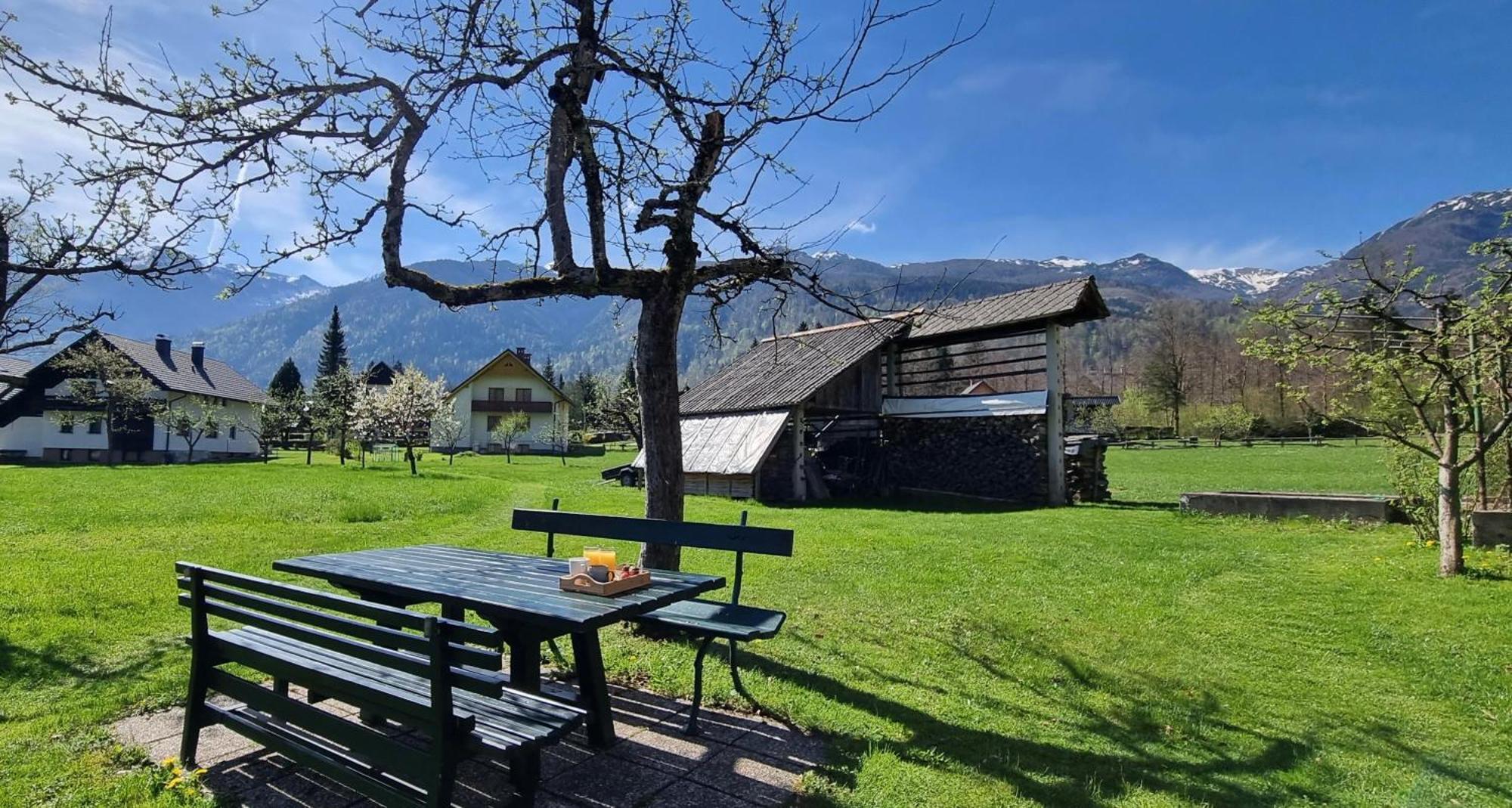 Apartments Skantar Bohinj ภายนอก รูปภาพ